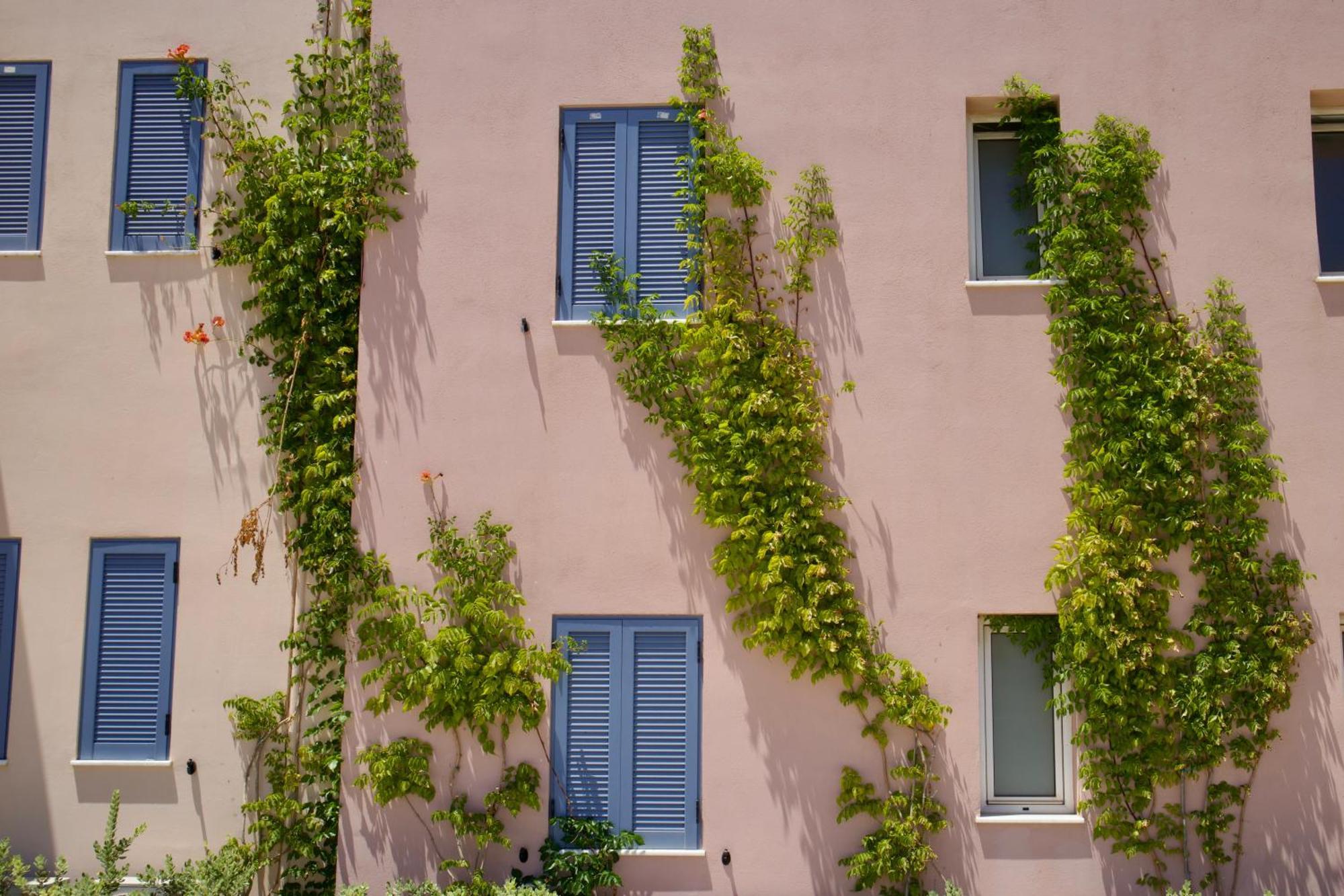 Resitour - Aphrodite Beachfront Pirgos Psilonerou 部屋 写真